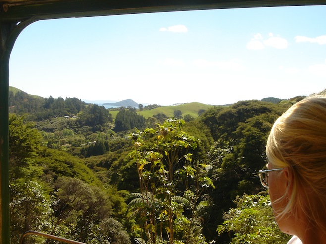NZ Trainride